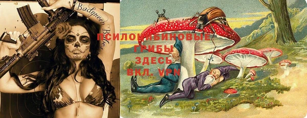 кокаин Белокуриха