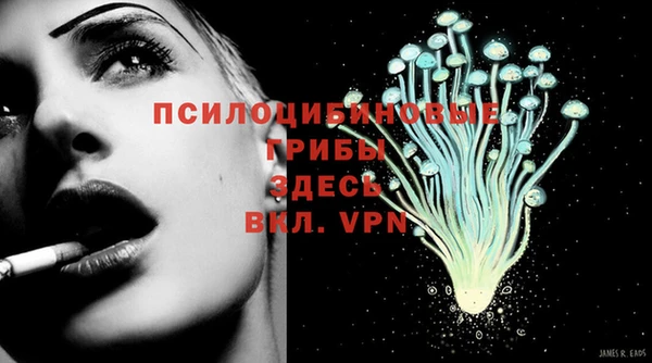 mdpv Беломорск