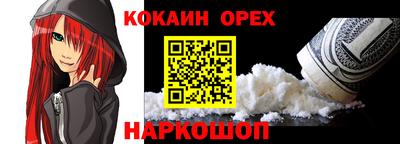 крисы Кулебаки