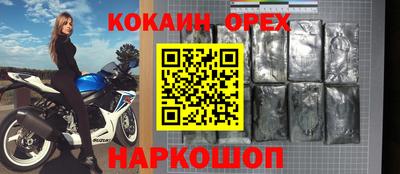 крисы Кулебаки
