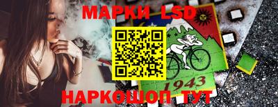 крисы Кулебаки