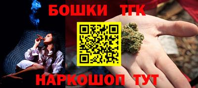 крисы Кулебаки