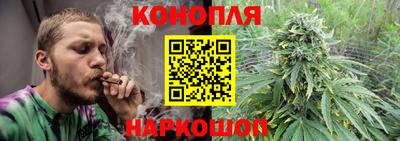 крисы Кулебаки