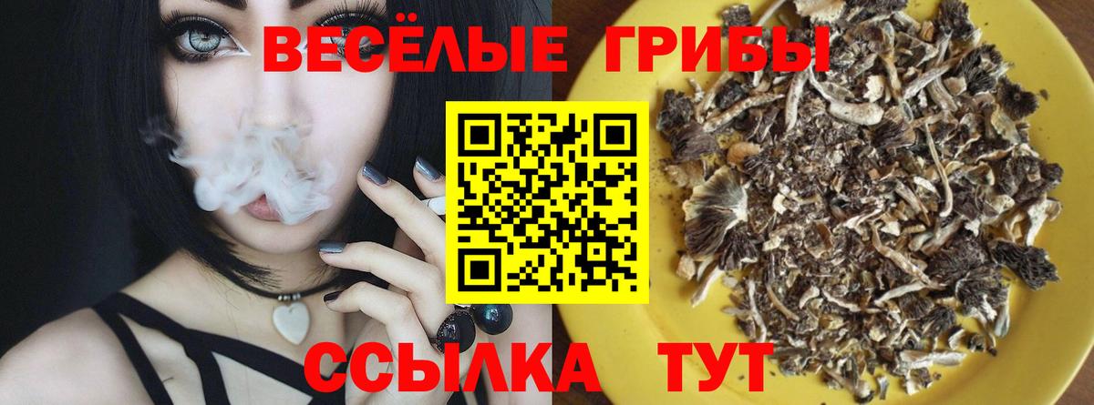 где можно купить наркотик  Вход с VPN  Бутурлиновка  Галлюциногенные грибы Psilocybe  Галлюциногенные грибы GOLDEN TEACHER 