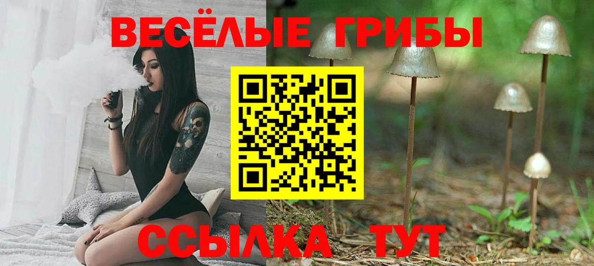 Псилоцибиновые грибы Psilocybine cubensis Бутурлиновка